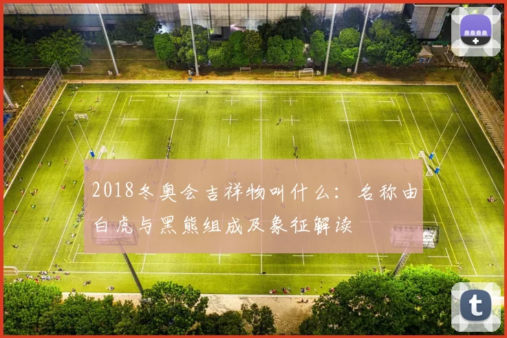 2018冬奥会吉祥物叫什么：名称由白虎与黑熊组成及象征解读