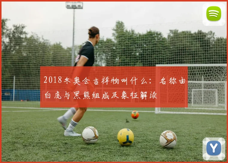 2018冬奥会吉祥物叫什么：名称由白虎与黑熊组成及象征解读