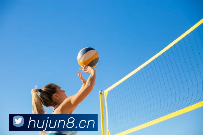 kaiyun官方登录入口平台生态图